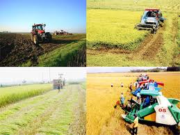 Mecanización eleva la producción agrícola y mejora la vida de campesinos